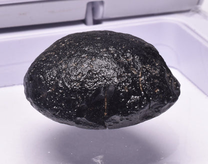 AUSTRALITE, METEORITE FROM SOUTH AUSTRALIA MT235