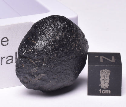 AUSTRALITE, METEORITE FROM SOUTH AUSTRALIA MT235