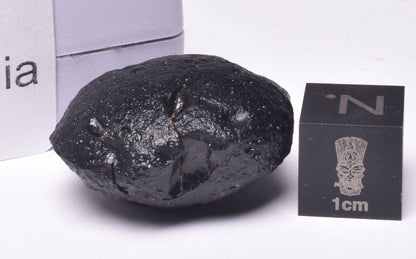 AUSTRALITE, METEORITE FROM SOUTH AUSTRALIA MT235