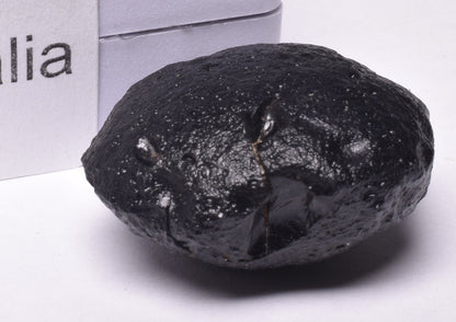 AUSTRALITE, METEORITE FROM SOUTH AUSTRALIA MT235