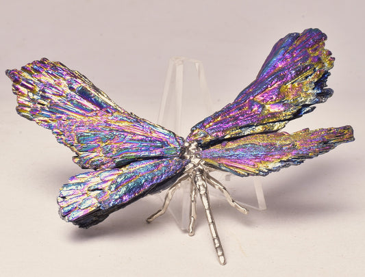 TITANIUM AURA KYANITE DRAGONFLY P569