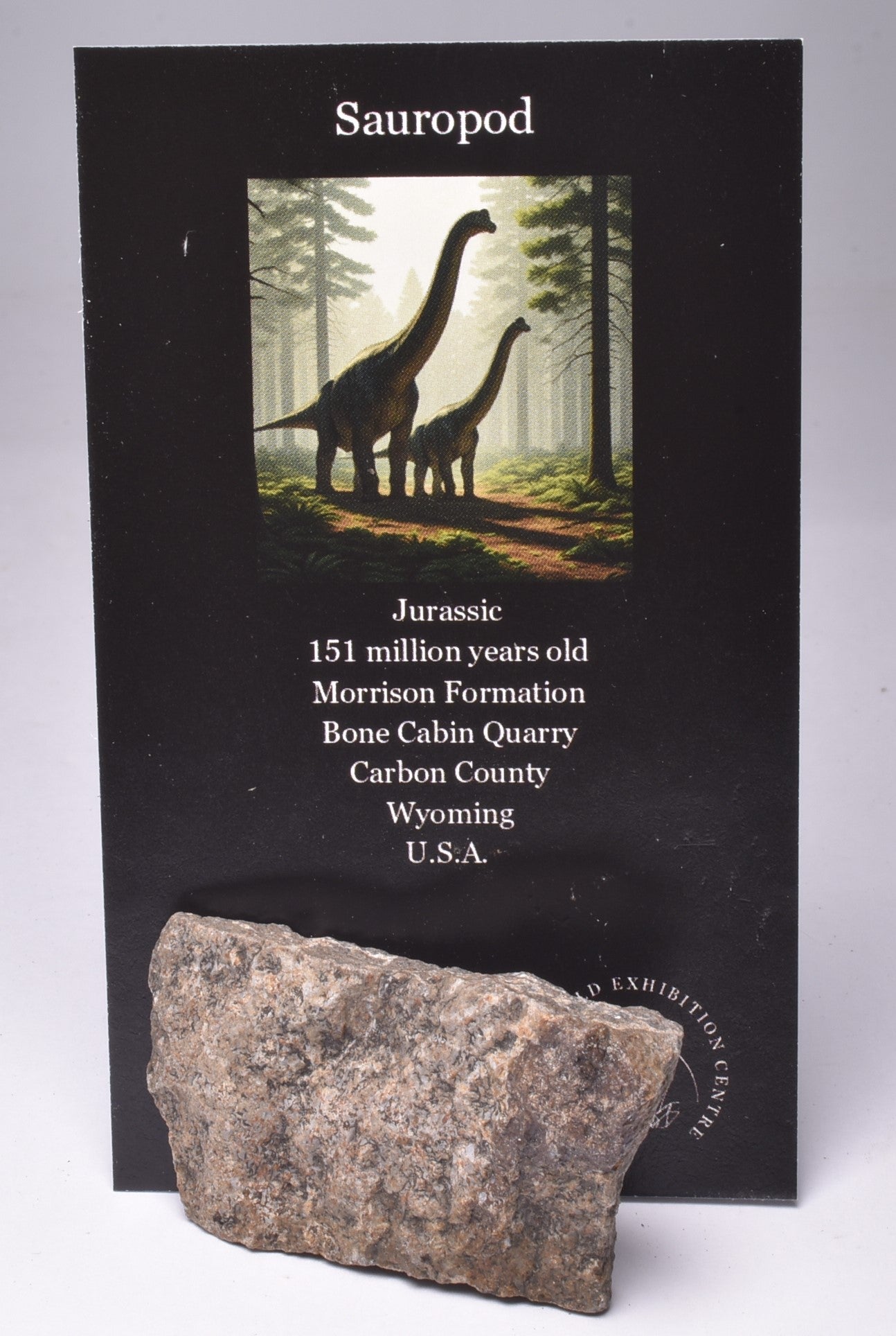 SAUROPOD DINOSAUR BONE FOSSIL F235