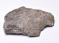 SAUROPOD DINOSAUR BONE FOSSIL F240