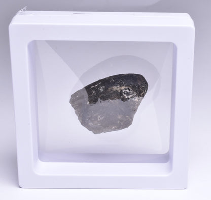 DARWIN GLASS, Meteorite Impact melt, AUSTRALIA MT184