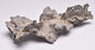 FULGURITE LIGHTNING STRIKE GLASS MOROCCO MT204