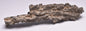 FULGURITE LIGHTNING STRIKE GLASS MOROCCO MT205