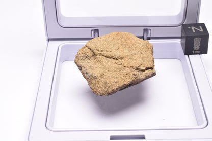 HADROSAUR DINOSAUR BONE FOSSIL F618