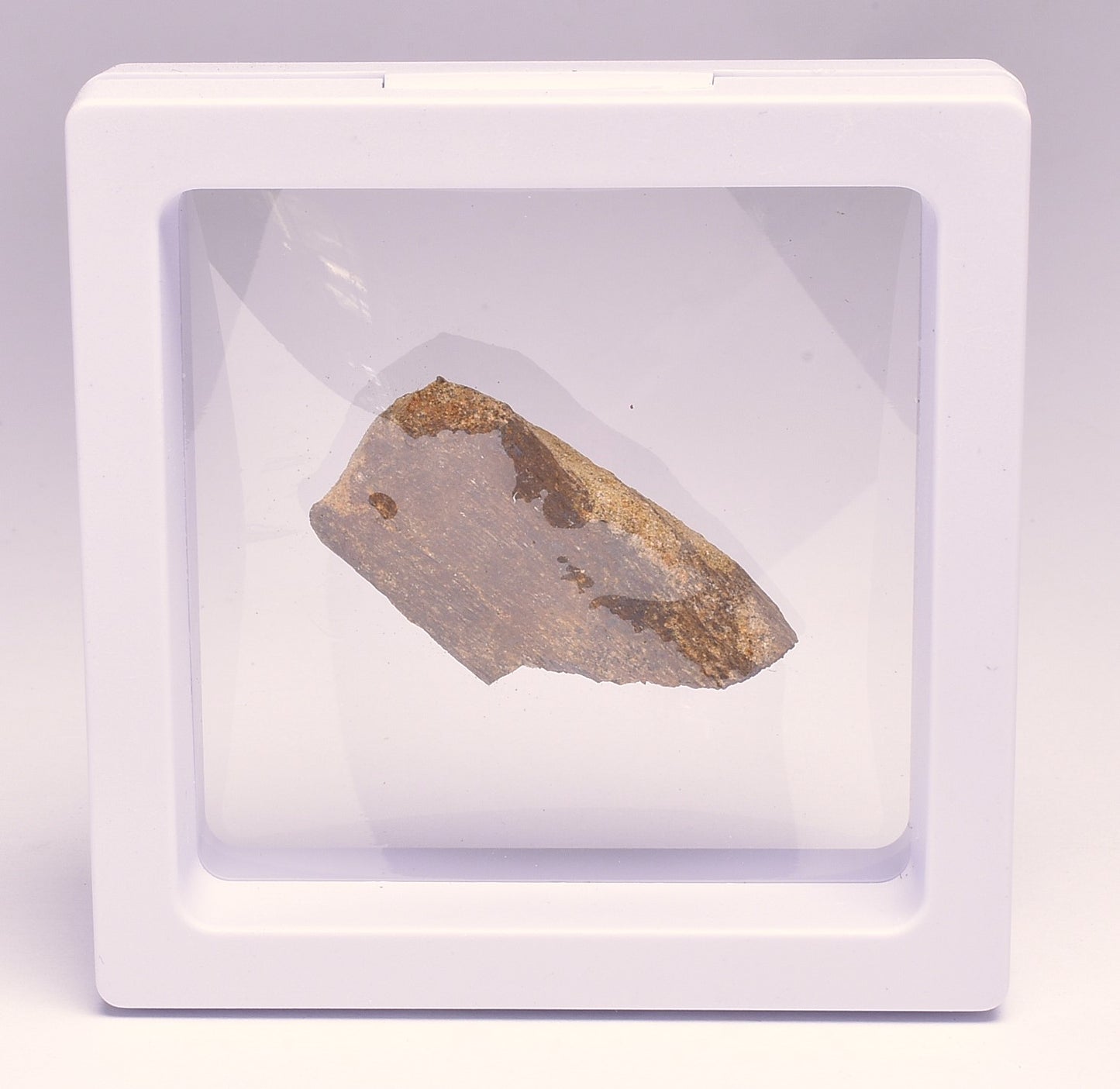 HADROSAUR DINOSAUR BONE FOSSIL F619