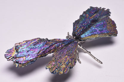 TITANIUM AURA KYANITE DRAGONFLY P1026