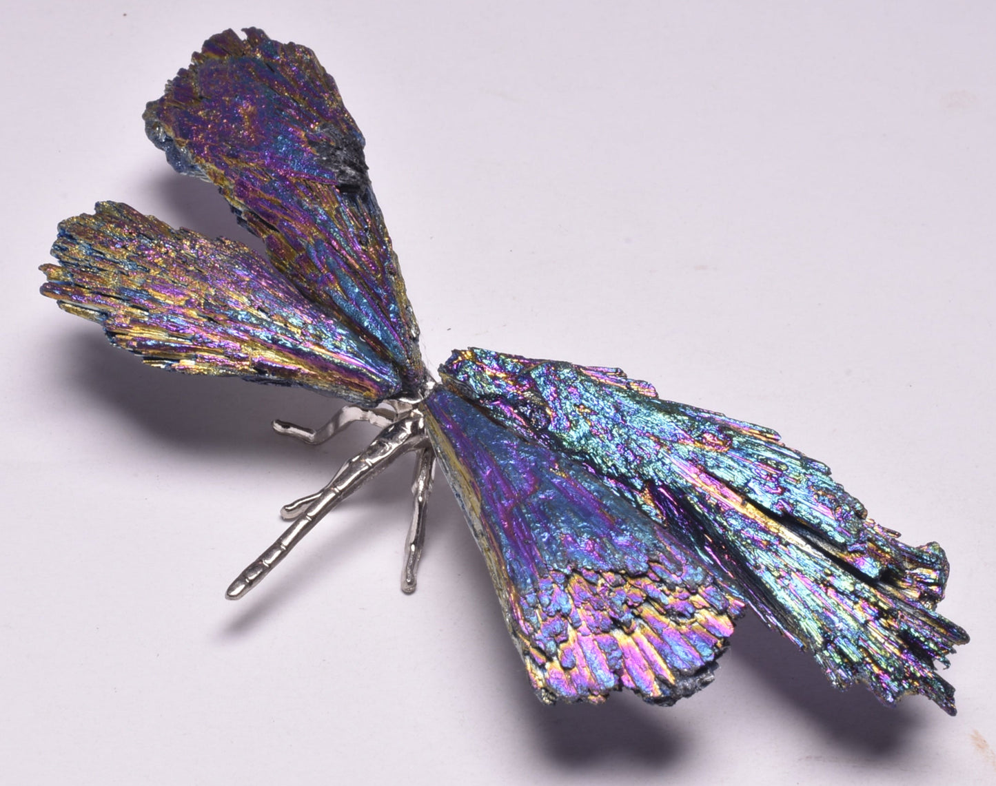 TITANIUM AURA KYANITE DRAGONFLY P1026