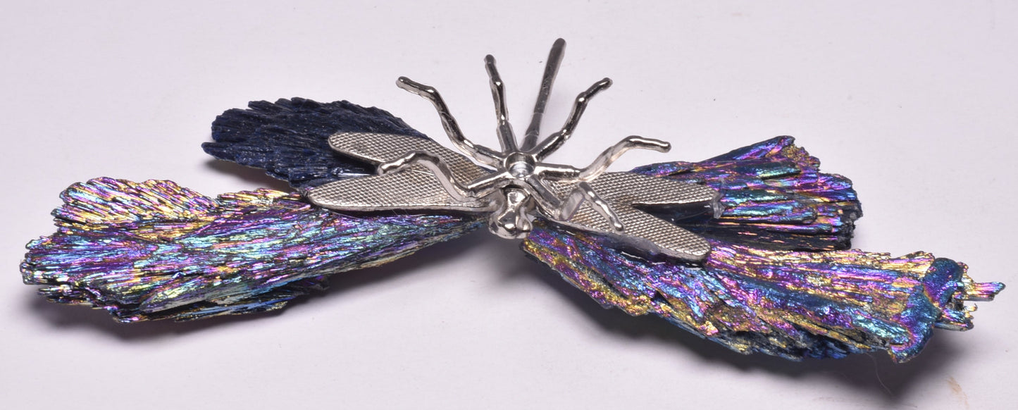 TITANIUM AURA KYANITE DRAGONFLY P1026