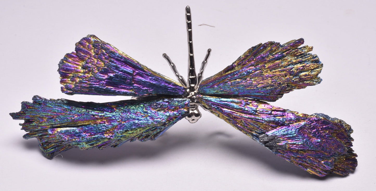 TITANIUM AURA KYANITE DRAGONFLY P1026