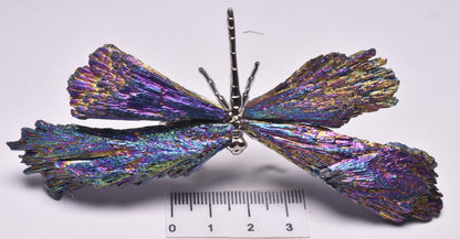 TITANIUM AURA KYANITE DRAGONFLY P1026