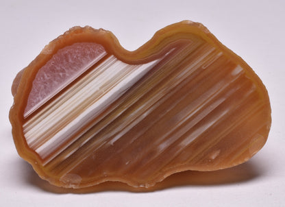 AGATE CREEK, Polished AGATE, AUSTRALIA P1035