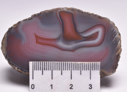 AGATE CREEK, Polished AGATE, AUSTRALIA P2001