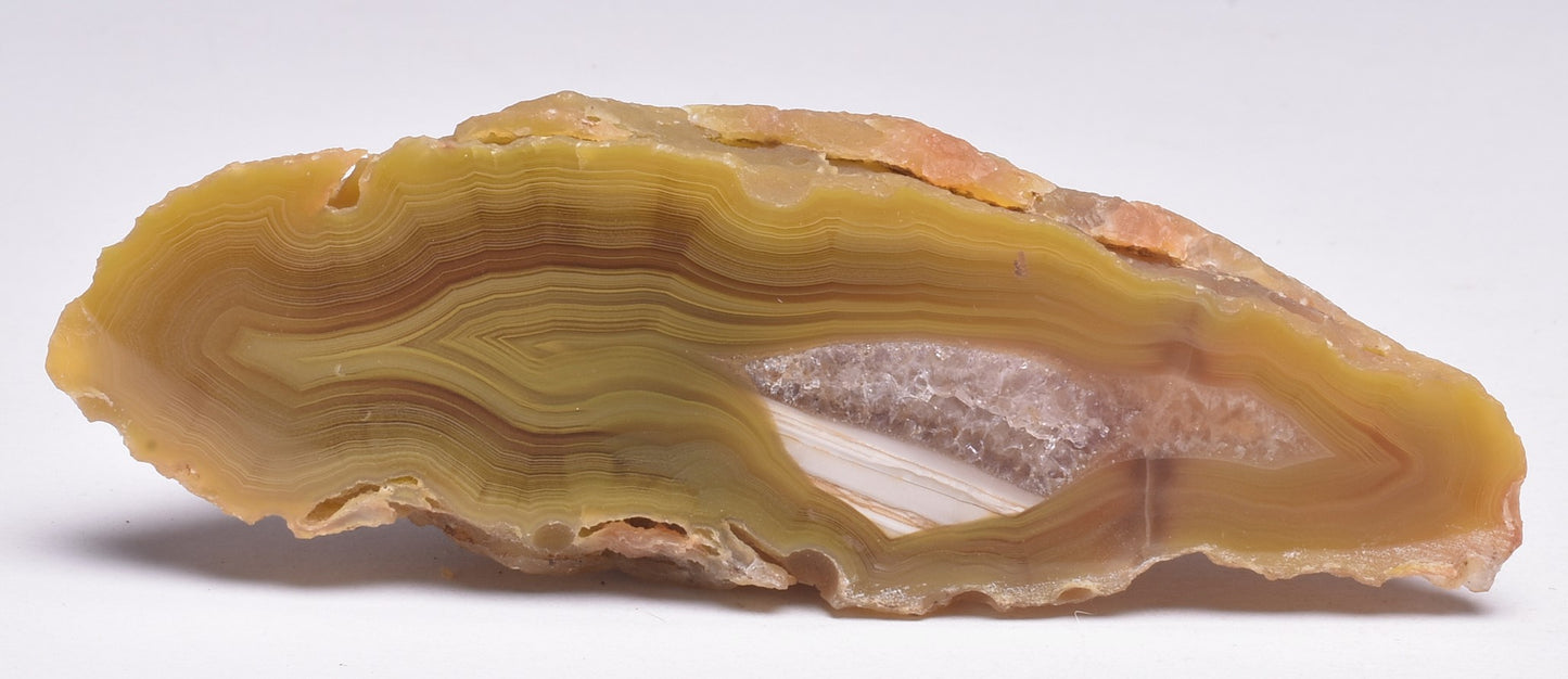 AGATE CREEK, Polished AGATE, AUSTRALIA P640