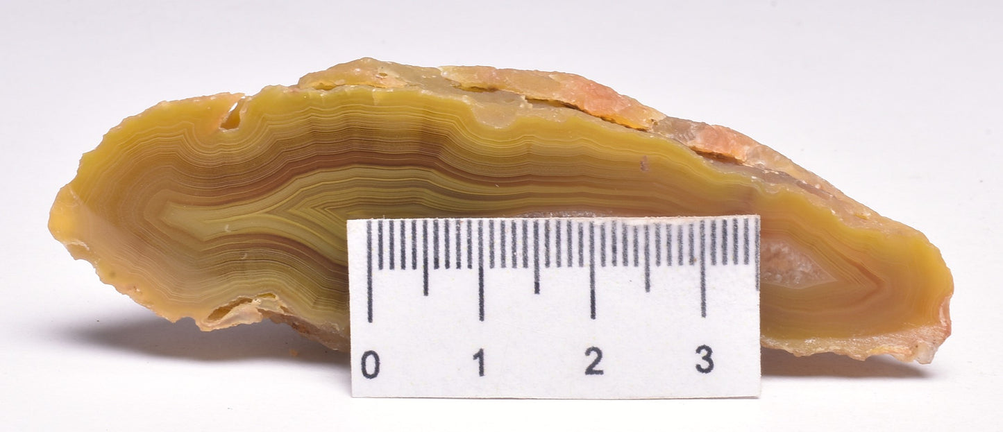 AGATE CREEK, Polished AGATE, AUSTRALIA P640