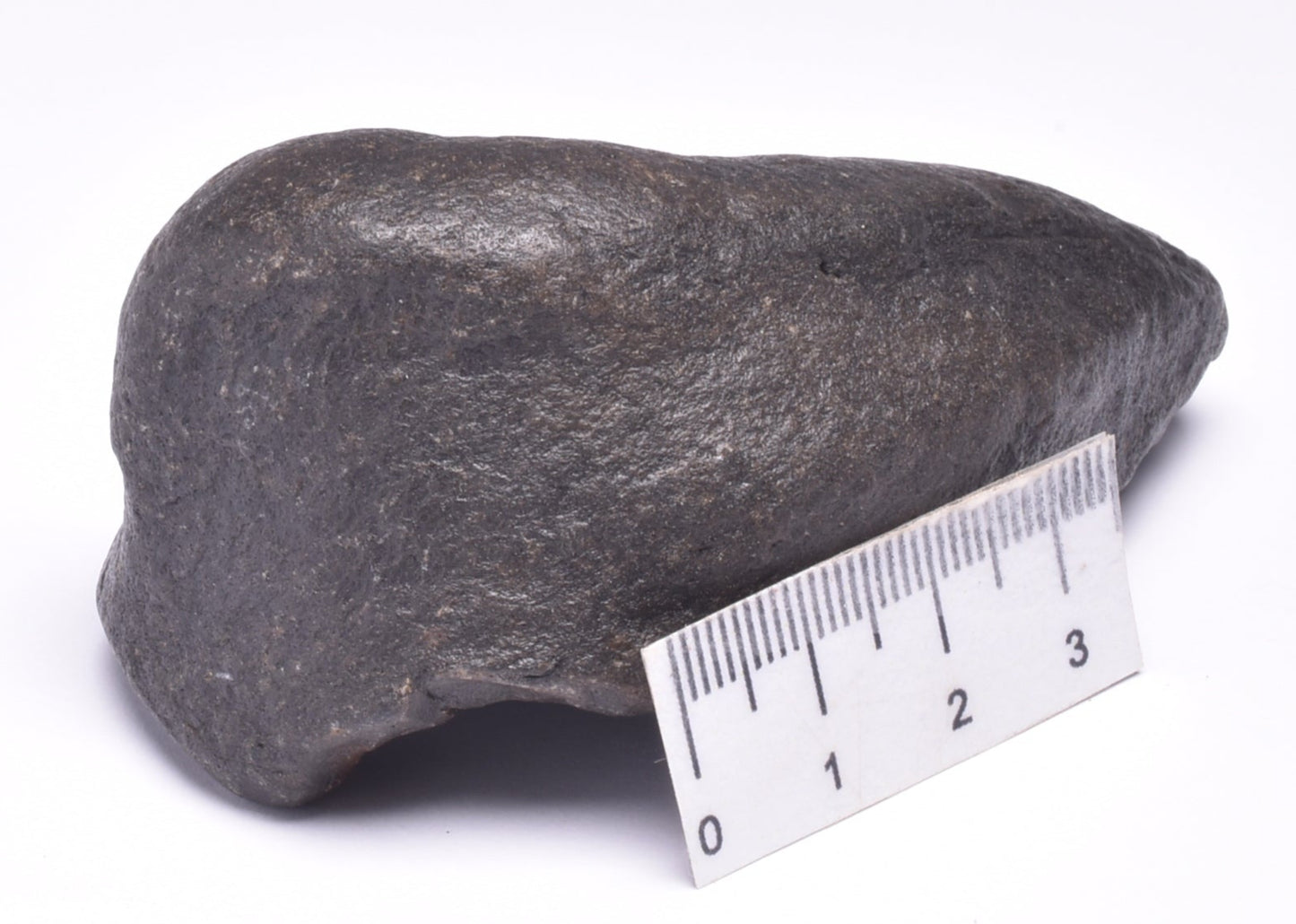 WHALE EAR BONE FOSSIL, Miocene, North Port Carolina, USA F514