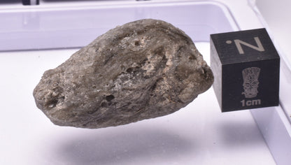 DARWIN GLASS, Meteorite Impact melt, AUSTRALIA MT187