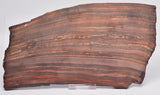 BANDED TIGER IRON Polished Slice, AUSTRALIA S29