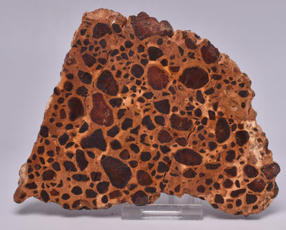 BAUXITE, Aluminium Hydroxide, Polished Slice, Kalgoorlie WA S289