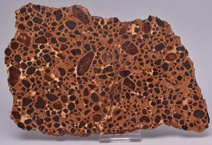 BAUXITE, Aluminium Hydroxide, Polished Slice, Kalgoorlie WA S200