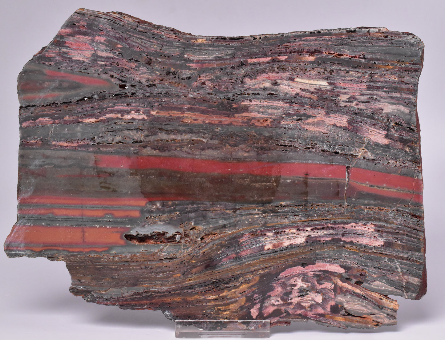 STROMATOLITE from the Jerrinah Formation, Pilbara, Western Australia S546