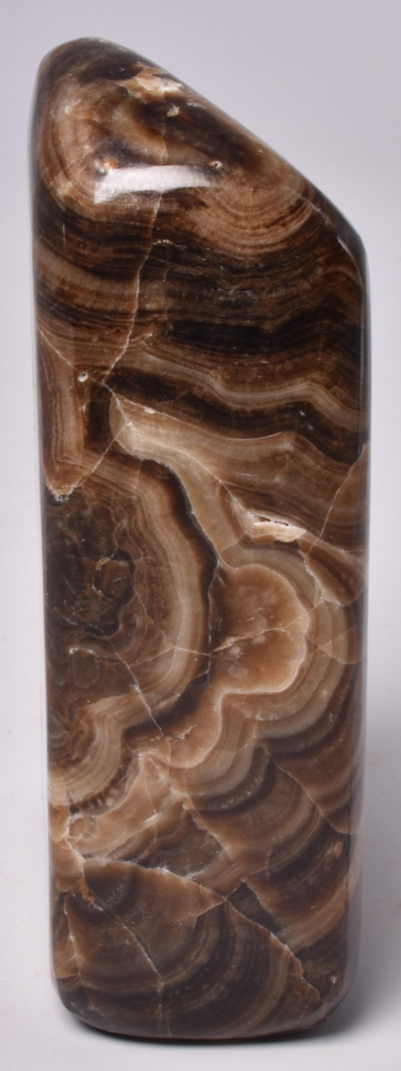 TRAVERTINE POLISHED FREEFORM P176