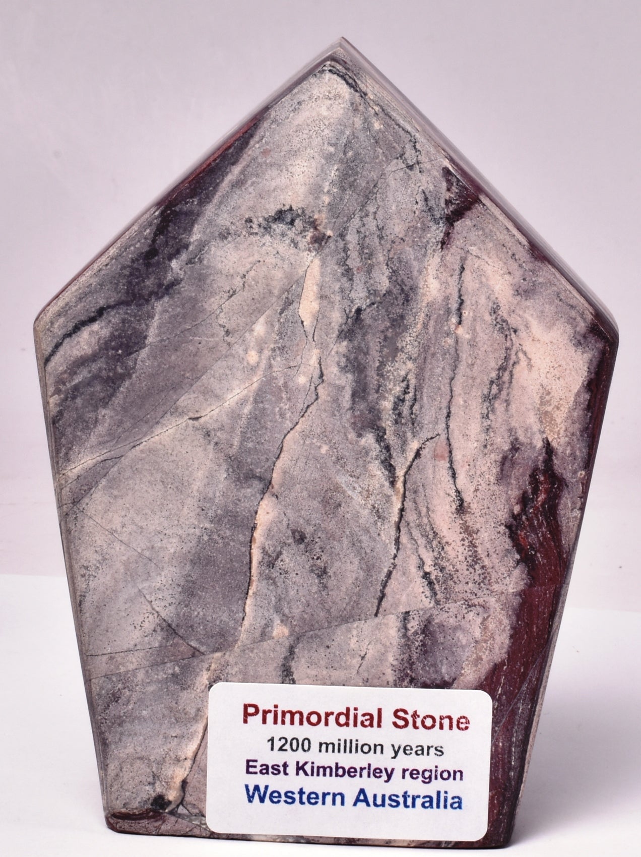 PRIMORDIAL STONE, POLISHED FOSSIL CARVING 1200 MYO, AUSTRALIA F198