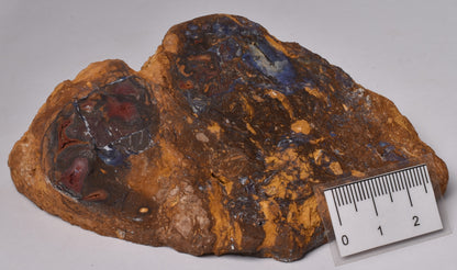 BOULDER OPAL Polished Slab Queensland, Australia OP05