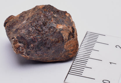 MUNDRABILLA IRON METEORITE 31.68 GRAMS MT94