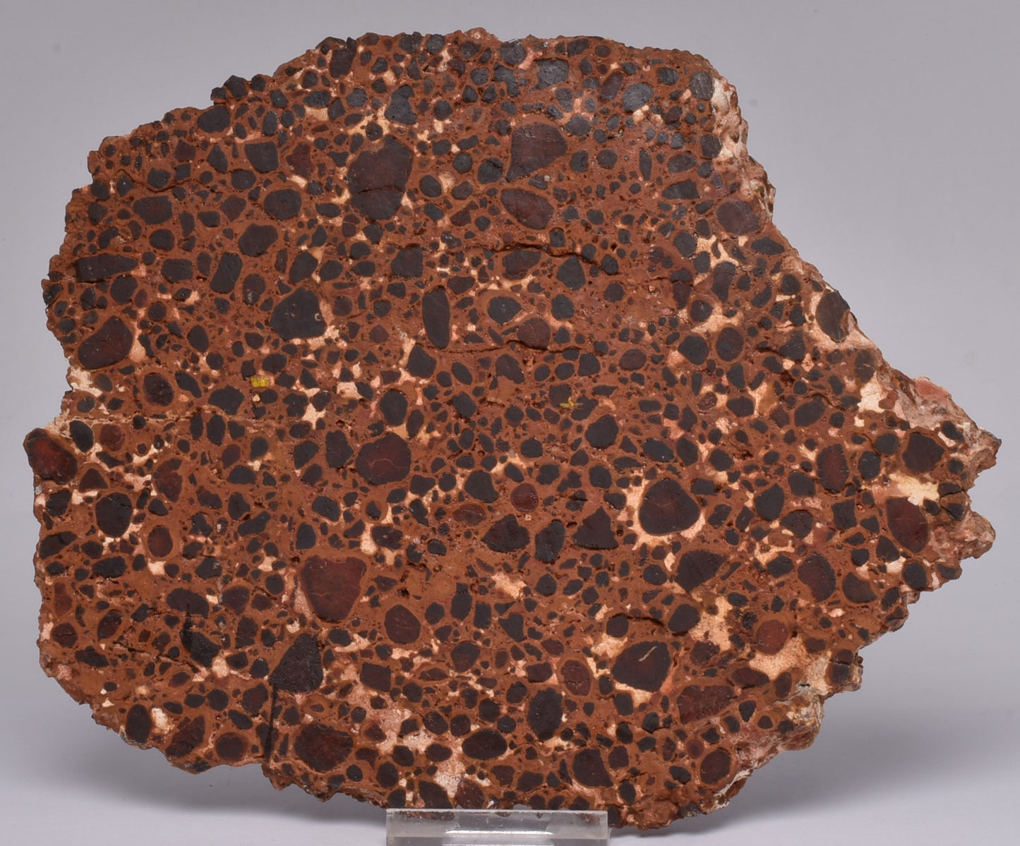 BAUXITE, Aluminium Hydroxide, Polished Slice, Australia S426