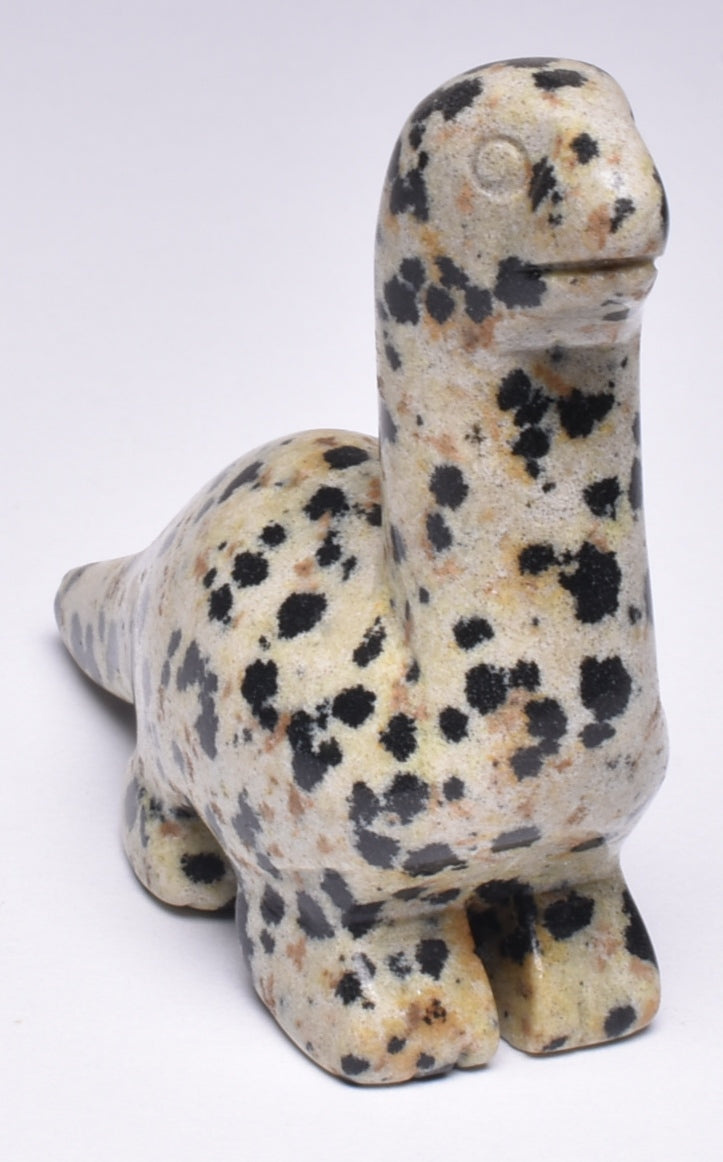 CRYSTAL DALMATION JASPER DINOSAUR CARVING P50