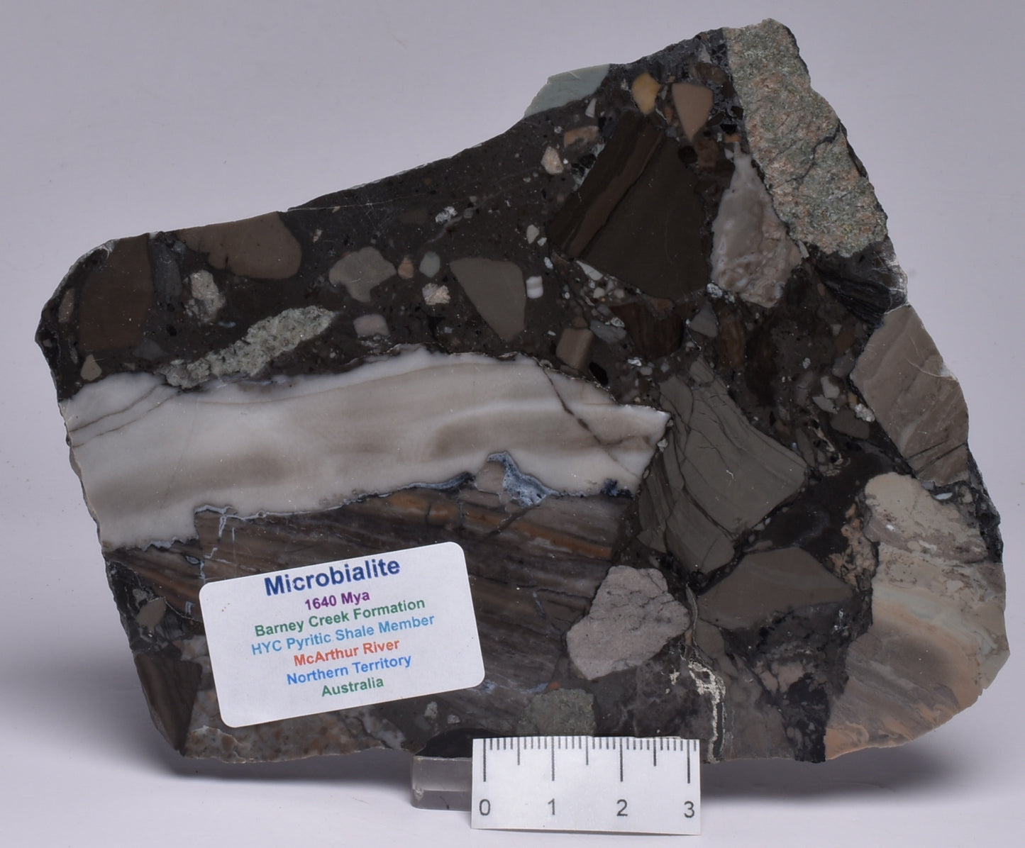 MICROBIALITE, STROMATOLITE, 1640 mya BARNEY CREEK FORMATION, McARTHUR RIVER, AUSTRALIA S787