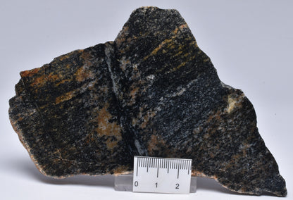 ACASTA GNEISS SLICE, “OLDEST ROCK" IMPACT MELT. CANADA S1119