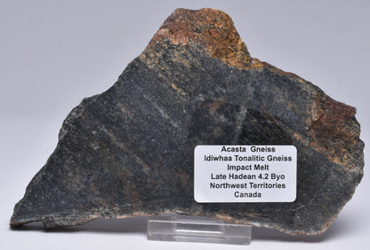 ACASTA GNEISS SLICE, “OLDEST ROCK" IMPACT MELT. CANADA S1119