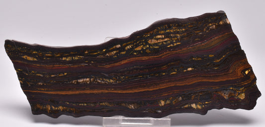 BANDED TIGER IRON Polished Slice, AUSTRALIA S1127