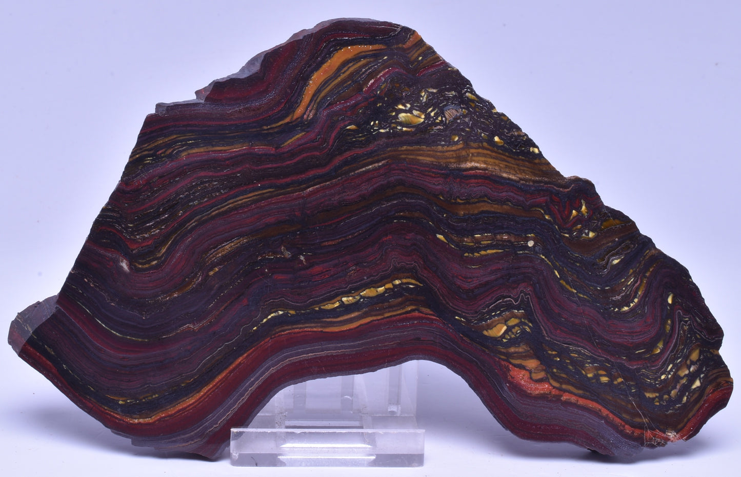 BANDED TIGER IRON Polished Slice, AUSTRALIA S1129