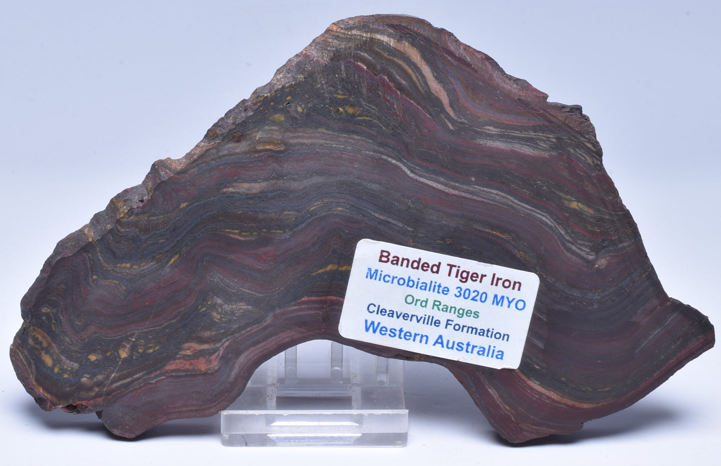 BANDED TIGER IRON Polished Slice, AUSTRALIA S1129