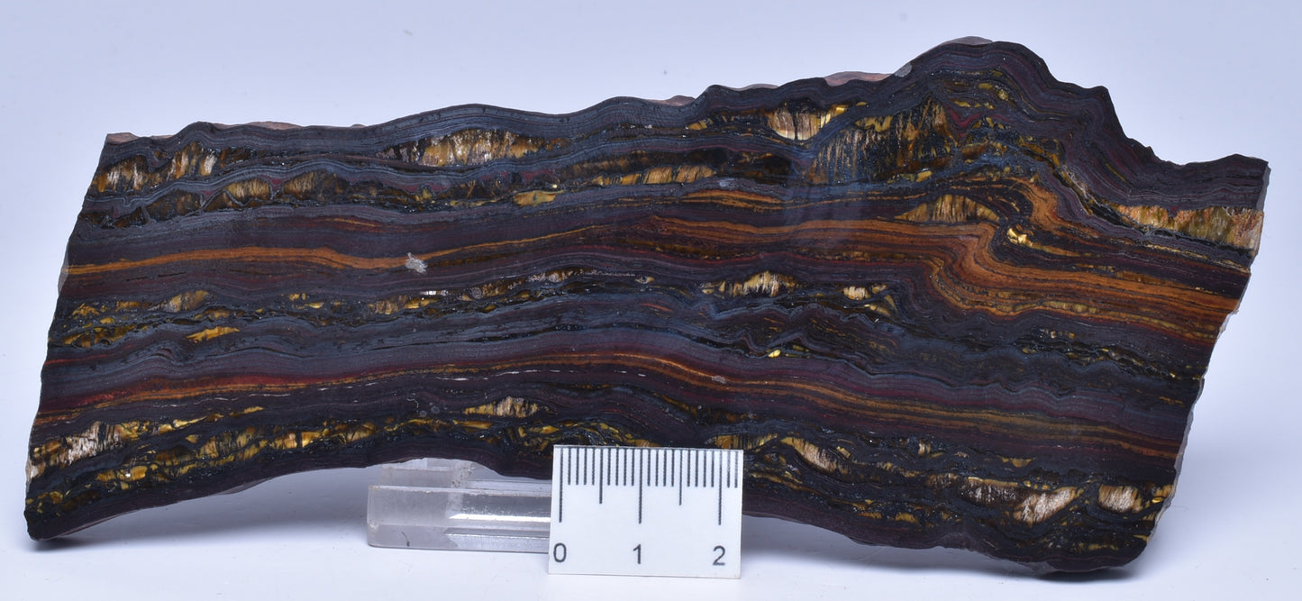 BANDED TIGER IRON Fossil Polished Slice, AUSTRALIA S1130