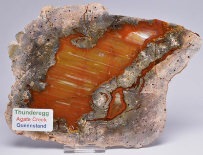 THUNDEREGG SLICE, AGATE CREEK AUSTRALIA S493