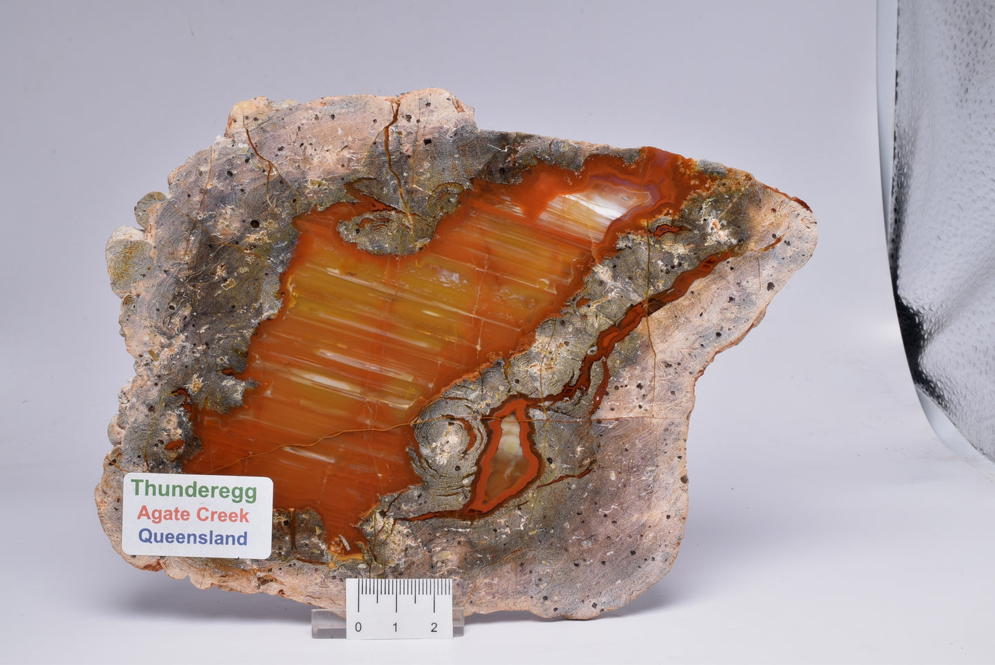 THUNDEREGG SLICE, AGATE CREEK AUSTRALIA S493