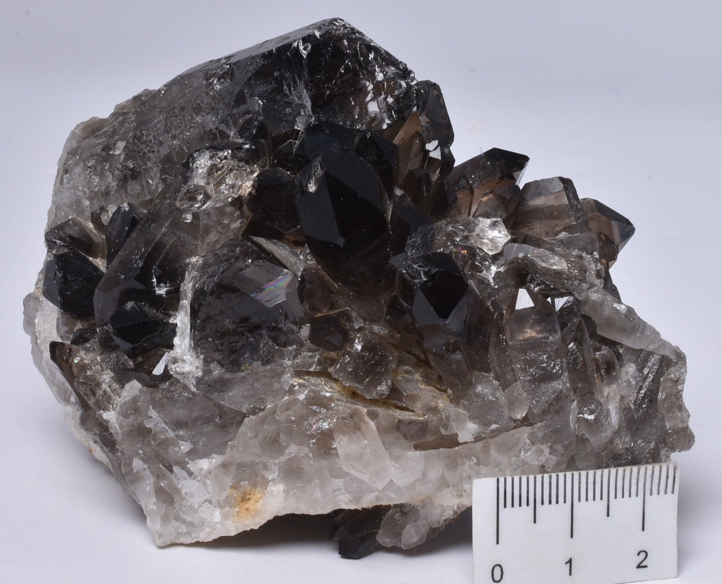 SMOKEY QUARTZ CRYSTAL POINT CLUSTER P433