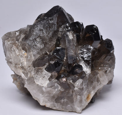 SMOKEY QUARTZ CRYSTAL POINT CLUSTER P433