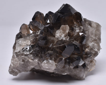 SMOKEY QUARTZ CRYSTAL POINT CLUSTER P433