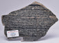 ACASTA GNEISS SLICE “OLDEST ROCK" CANADA S103