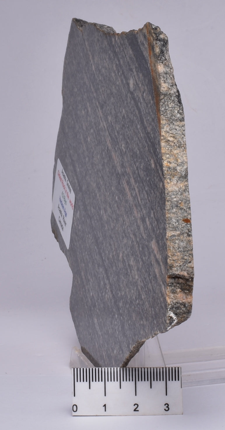 ACASTA GNEISS SLICE “OLDEST ROCK" CANADA S103