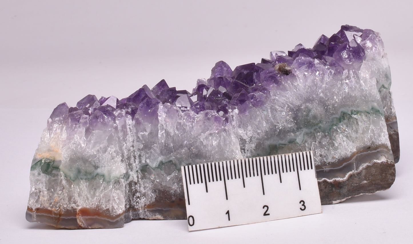 AMETHYST TREE CLUSTER FROM BRAZIL P437