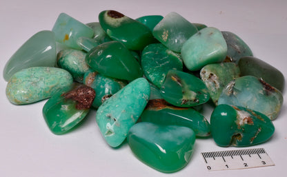 CHRYSOPRASE TUMBLES 500 grams P165