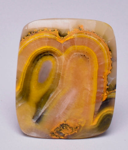 BUMBLE BEE JASPER Polished Cabochon J233